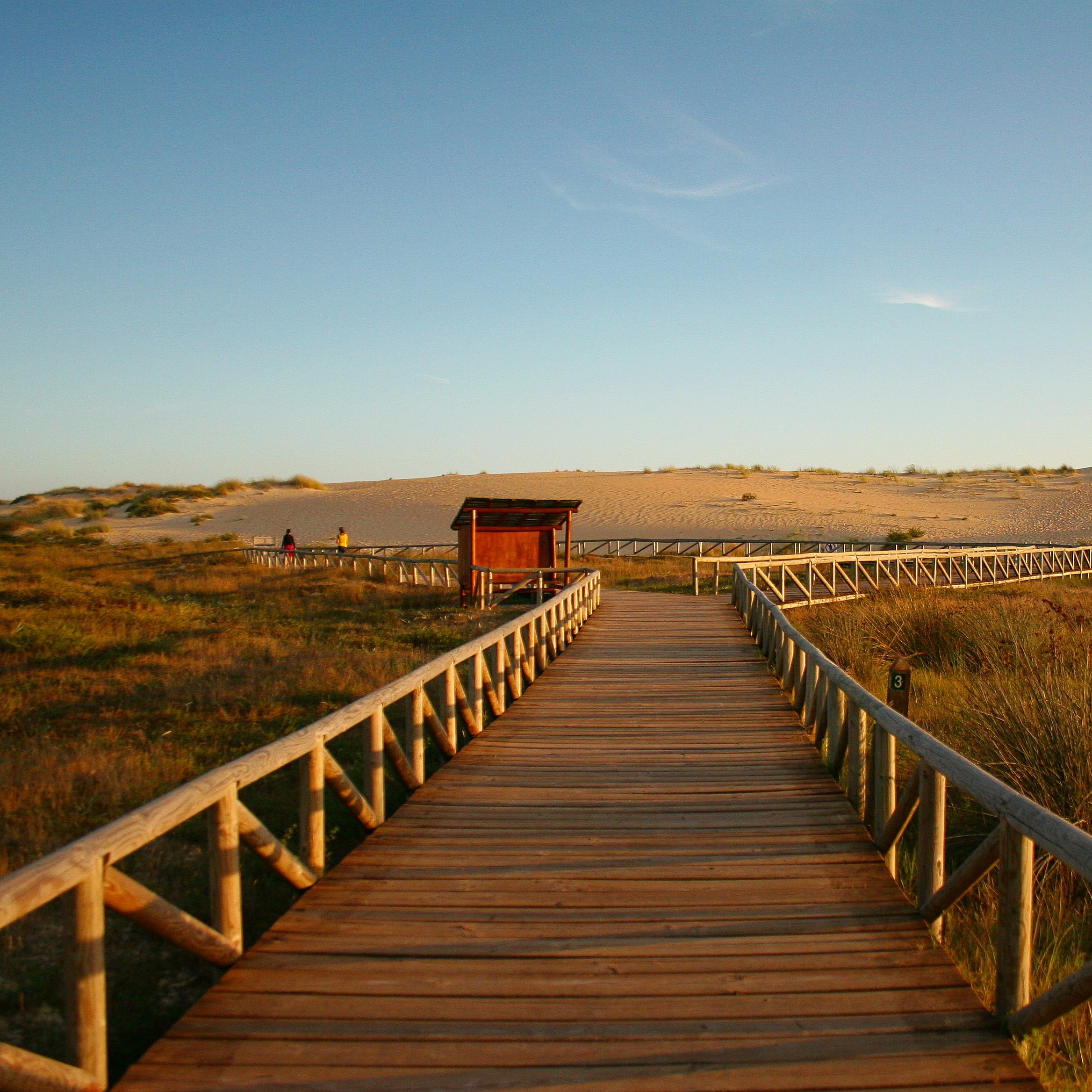 Dunas Corrubedo