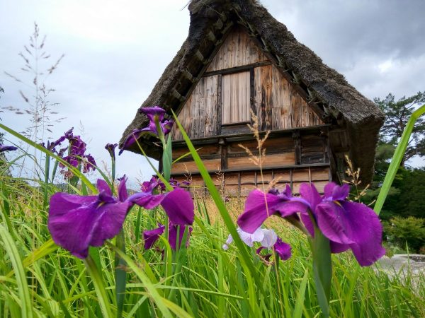 Shirakawa-go hida shirakawago